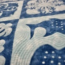 海のサンプラーズ