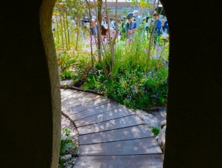 ２０２６.福岡フラワーショー後編