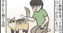 そういえばマロはこういう子だった