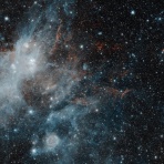 【2ch】ニュー速クオリティ