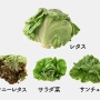 【正論】ママさん「日本人は子どもに『はじめてのおつかい』なんかさせてないで、◯◯◯を放送すべき」　→　番組ディスかと思いきや共感者続出！これはｗｗｗｗ