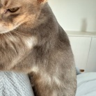 朝の抱っこ渋滞