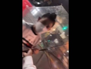 【動画】限界突破！　迷惑配信者さん、傘さし自転車の外国人から傘を強奪する様子を生配信する