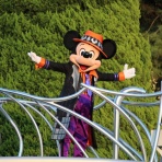 ディズニーとハンドメイドでハピネスを♪