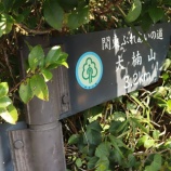 『大楠山 　　-昭和的会話の一日だった-　』の画像