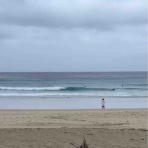 OneShotTripSurfとその仲間たち