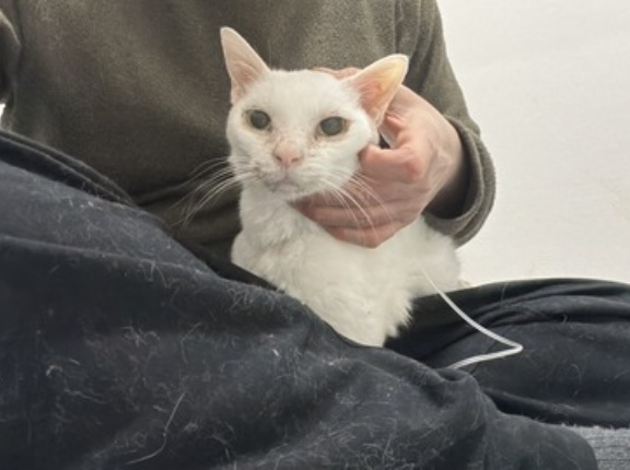 原因が解らない謎現象　20260217