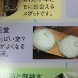 『【番組告知「JNNふるさと紀行」】阿弥陀堂（別名おっぱい堂）がテレビに！』の画像