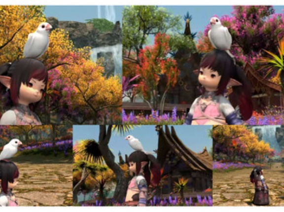 【FF14】オカメインコのミニオン、ヒカセンたちの要望が多ければ実装される可能性！吉田P「担当者に伝えておきます」