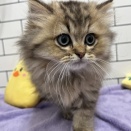 元気いっぱいの男の子登場☆彡