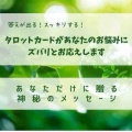 真島アキ　今後の予定　2026年5/14更新