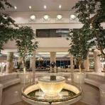 肉食系ベジタリアンのつぶやき