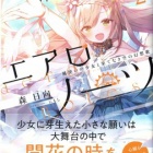 『浮遊世界のエアロノーツ２ 風使いの少女と果てなき空の幻想歌　感想』の画像
