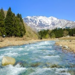 株道 - 人に教えたくない私の相場帳 -