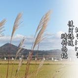 『晴耕雨読の隠遁生活』の画像