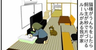 猫って、かしこいな