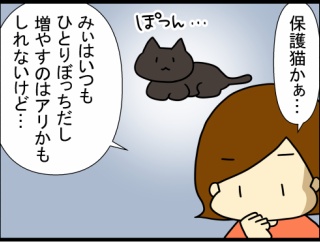 超びびりのコミュ障猫・引きこもりニート