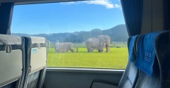 夏のおもひで2023 ①