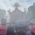 三好二丁目にも夏が来る！深川八幡祭り本祭りのお知らせ