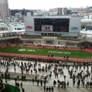 馬主と馬主席と有馬記念　③