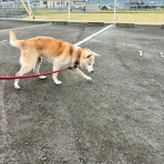 まさき動物病院
