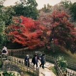 『紅葉狩りｽﾎﾟｯﾄ🍂『2025.11 岡山後楽園④』岡山市北区後楽園』の画像