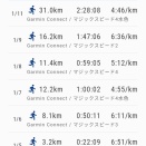 ランラン愛媛の30km走 2026