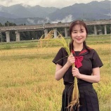 『稲刈り撮影』の画像
