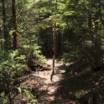 心霊-都市伝説ナビ-