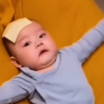 QQQ(海外の反応)