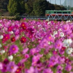 鉄橋のある鉄道風景のblog