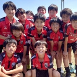 『焦らずね』の画像