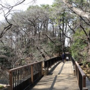 2025.03 ÂçÅĶè ¿ËàÀîÂæ¸ø±à2