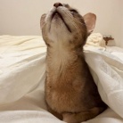 毎日、かわいいを見せつけてくるぼくちん♡