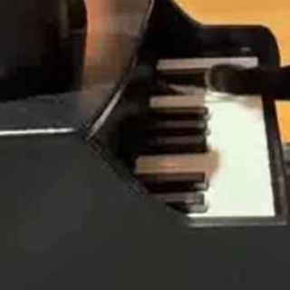 猫の動画 ねこわん！