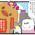 【羽やすめまんが】鳥フェス名古屋お疲れ様でした‼️