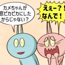 窓ガラスをピカピカにした結果