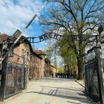 noribooooone『ココロノレイトウコ』