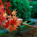『どうでもいい偶然』の画像