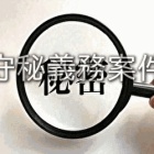 『王位継承権上位の王子の第三夫人募集案件』の画像