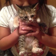 初対面のオトナ猫さま達の反応