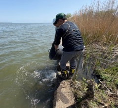 いろいろありますなぁ･･････