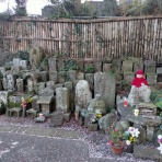 人生の長い午後