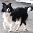 あっち、そっちの続きｗ