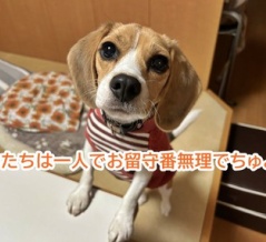 急に日常に戻る