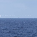 苫小牧チャレンジ＠シルバーフェリー　その①