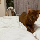 荒ぶるお姉ちゃんを呆然と見るわか坊