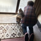 【猫写真】母と一緒が嬉しいマロちゃん