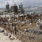 居食屋レインボー