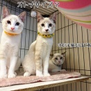 成長期だものね。オトナサイズ…